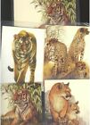 m219 modern postcards Large Wild Cats FIVE Not used.