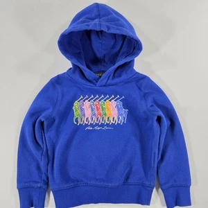 Polo Ralph Lauren Hoodie Youth 4T Multi Color Pony Pullover Boys Girls Sweatshir - Picture 1 of 11