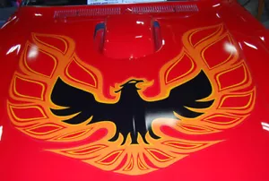 1973 - 1978 TRANS AM COMPLETE DECAL KIT W/ 1 PC HOOD BIRD - ORANGE - GM LICENSED - Bild 1 von 9