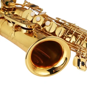 Alto Saxophone E Flat Brass Electrophoresis Gold Treated Bending Tube Saxophone - Picture 1 of 12