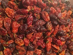 Organic Datil-Habanero Hybrid Heirloom Dried Hot Chili Pepper Florida Seed Pods - Picture 1 of 8