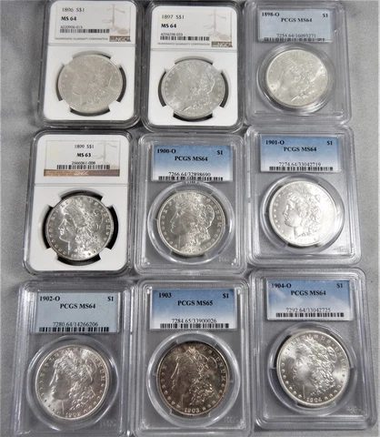 Lot Of 9 Morgan Silver Dollars - Mint State - Consecutive Dates 1896 to 1904 Cover