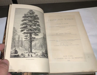 Vegetable World Louis Figuier 1867 First American Ed. Leather  444 Engravings - Image 1 of 4
