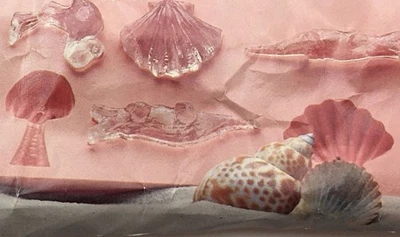 Bandejas Miami Ice Cube Tropical 3D Flamenco Caimán Palmera Concha de Mar - Fiesta Foto 1 de 4