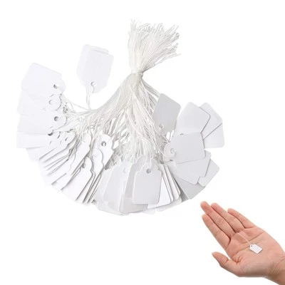 TFSYLISA 500 Pcs Cartellini del Prezzo,Etichette Prezzi di Carta con Stringa Gioielli