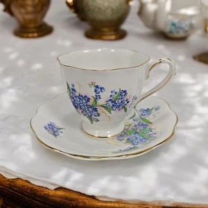 Royal Standard Blue Floral Fine Bone China Tea Cup And Saucer Gold Rimmed Set - Picture 1 of 6