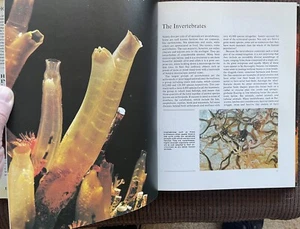 1975 Mash HOW INVERTEBRATES LIVE hb/dj/160pp NUMEROUS COLOR IMAGES Nice L@@K! - Picture 1 of 12