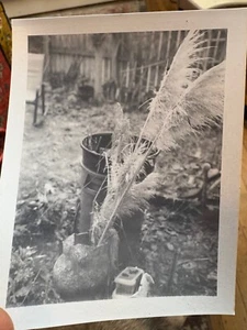 Fujifilm FP-3000B Professional Black & White Instant Film EXPIRED 12/2014 1 Box - Picture 1 of 3