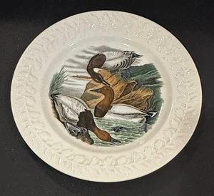 John James Audubon Birds of America Mallards handkolorierter Teller England 10 Zoll - Bild 1 von 3