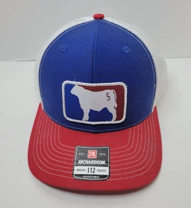 Richardson 112 Truckermütze Kuh Druckknopflasche gebraucht - Bild 1 von 7