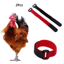 Nylon Pet Chicken Collar for Roosters Noise Free Belt Collars Poultry Supplies