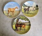 Spode 1988 The Noble Horse Collection by Susie Whitcombe, Plates 1, 2, and 3