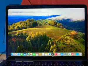 Genuine Apple MacBook Pro 13" LCD Screen Assembly GREY A2159 2019 FOR PARTS - Picture 1 of 22
