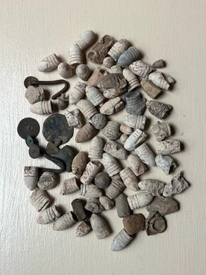 Лот реликвий гражданской войны вырытые поля сражений и кемпинги Вирджинии - более 70 штук - Изображение 1 из 2