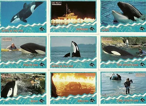 FREE WILLY 2 CARDS - COMPLETE SET OF 90 CARDS + 9 POP UP SET - MICHAEL MADSEN - Picture 1 of 12