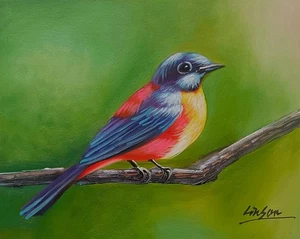 Original Lovely Bird Canvas Hand Painted Oil Painting Wall Art Home Decor 10x8in - Picture 1 of 8