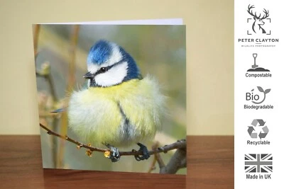 Eco Friendly Blank Greeting Card: Blue Tit Garden Song Bird | Nature | Wildlife - Image 1 of 4