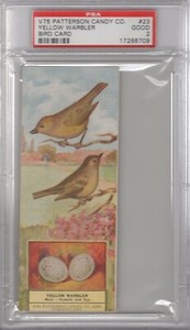 1924 Patterson Candy Co. Bird Cards V75 #23 Yellow Warbler Graded PSA 2
