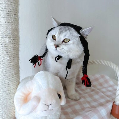 Wednesday Addam猫和小狗钩针帽/针织猫帽 — 第 1/2 张图片