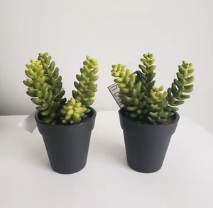 Set of 2 Succulent Plants Artificial Small Faux Cactus Plant Decor BIDK Home - Picture 1 of 6