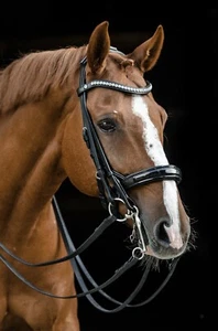 Kandare + Trense in 1 Candice Schwarz Lack Glitzer Leder Butterweich VB WB XFull - Bild 1 von 12