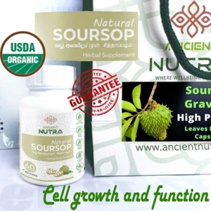 Soursop GRAVIOLA EXTRACT 500 mg 90days Guanabana Annona Antioxidant 60 capsules - Picture 1 of 13