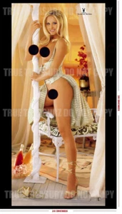 2000 Suzanne Stokes Playboy Playmate Sexy Promo Centerfold 36x20 Poster NEW 00SS - Picture 1 of 2