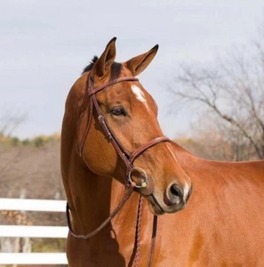 NUOVO Horze Tan Champion Snaffle Show BRIGLIA WARMBLOOD 10028-LBR-XF - Foto 1 di 2