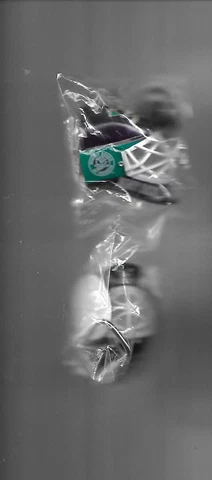 Vintage lot 2 lil' Sports Brat Anaheim Mighty Ducks helmet key chains Cover