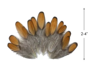1 Dozen - Golden Brown Whiting Farms Laced Hen Saddle Feathers Fly Tying Craft - Picture 1 of 12