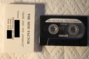 The Moe Factor - Jane And The Animals private cassette obscure SKA indie TESTED - Picture 1 of 1