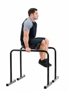 Dip Ständer Barren Highlets - Paralets 2 in 1 Dipstation Dipper Station Klimmzug - Bild 1 von 14