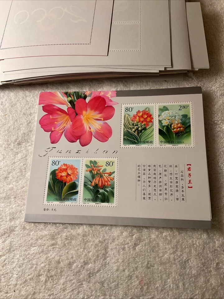CHINA-SC.3073a.—-LOT OF 1-SOUVENIR SHEET -MNH-# 209 - Image 1 of 1