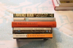 Lot of 6  Contemporary Fiction: The Hours,  The Dress Lodger, The Rice Mother +3 - Imagen 1 de 7
