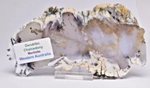 Merlinite Polished Slice, Dentritic Chalcedony, 120 grams Australia S436 - Imagen 1 de 6