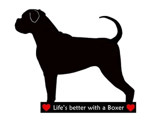 Boxer Hund Geschenk. Flexibler trocken abwischbarer Kühlschrankmagnet max. 12" x 8" und Markierungsstift - Bild 1 von 5