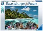 Puzzle Een Duik Op De Malediven (2000 Stukjes) Puzzle NUEVO
