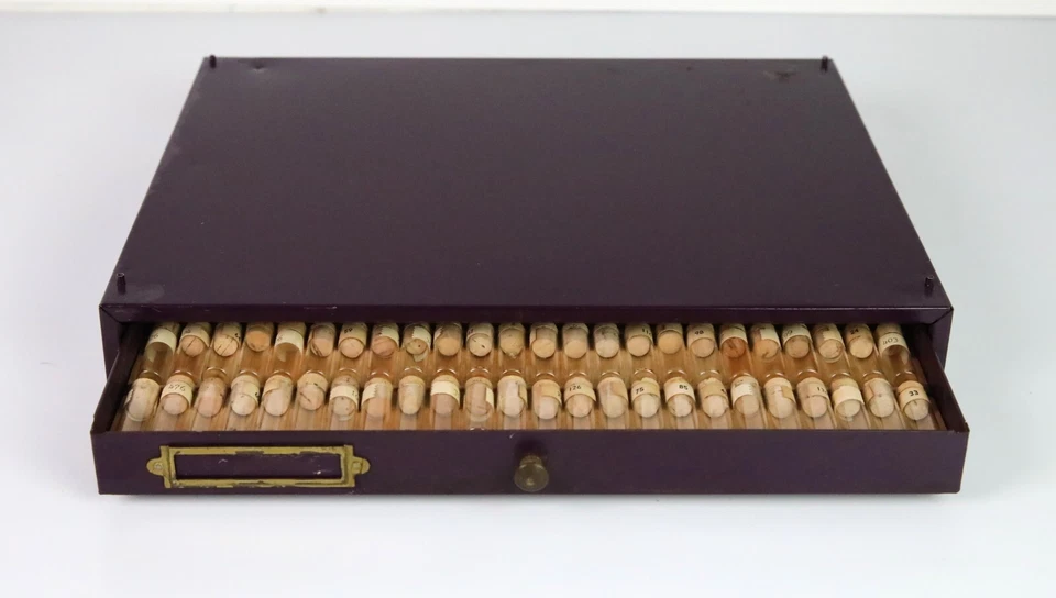 Reloj de Bolsillo South Bend NOS y Bastones de Equilibrio de Reloj Foto 1 de 1