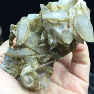 MI5 n Mineral de cristal de Calcita Amarillo Deslustre Diente Perro . Minerales - Bild 1 von 6