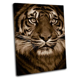 Lienzo retrato cara de tigre original aa - Imagen 1 de 2