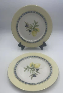 2- Royal Doulton Carmina Dinner Plate - Picture 1 of 4