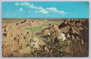Badlands National Monument SD 1970 vista panorámica flores silvestres blancas - Imagen 1 de 2