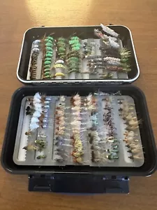 Scientific Anglers fly box with approx 140 flies (caddis pupae, emergers, cased) - Picture 1 of 14