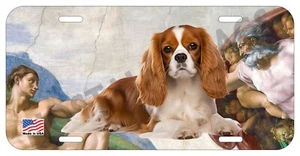 CAVALIER KING CHARLES SPANIEL PERRO PUEDE PERSONALIZAR NOVEDAD METAL MATRÍCULA J - Imagen 1 de 4