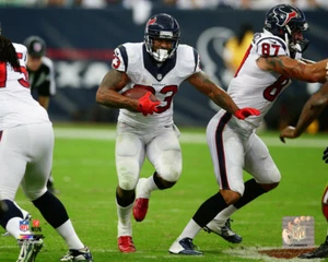  Arian Foster Houston Texans - 8x10 Photo with Protective Sleeve #1438 - Picture 1 of 1