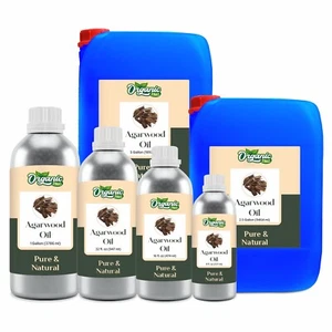 Bulk Agarwood (Aquilaria Malaccens) Organic Zing Essential Oil- Wholesale Price - Picture 1 of 2