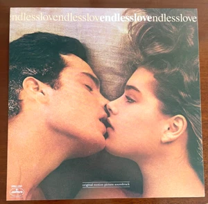Brooke Shields, Martin Hewitt ENDLESS LOVE ~ Promo FLAT 12 x 12 inch Poster - Picture 1 of 1