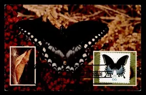DR WHO 2013 FDC BUTTERFLY MAXIMUM CARD m06543 - Foto 1 di 2