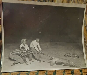 Original 1929 Ascension Island Black Negro Men Turning TURTLE 8x10" Photo NEA - Picture 1 of 6