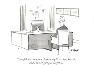 Funny Boss Cat Who Is In Charge Tuna & Litter Box The New Yorker Cats Postcard - Picture 1 of 2